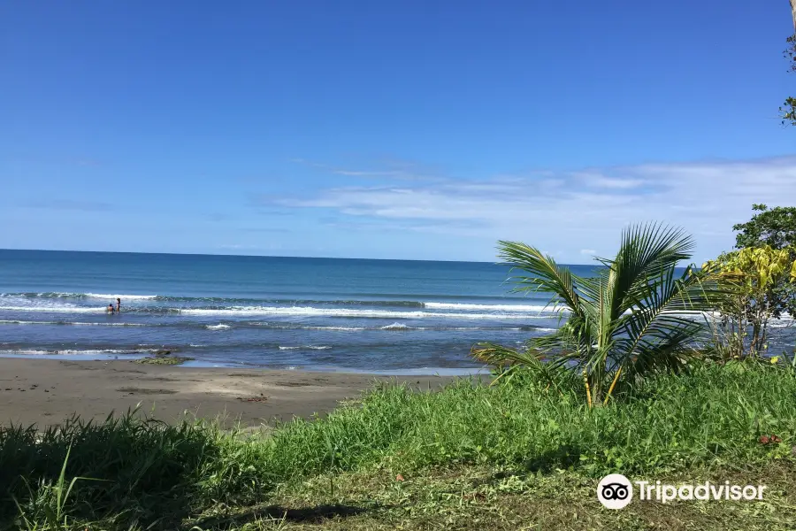 Playa Negra, Cahuita