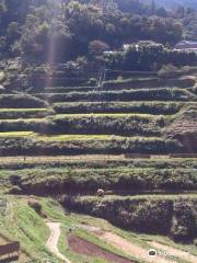 Tokubetsuto Rice Terraces