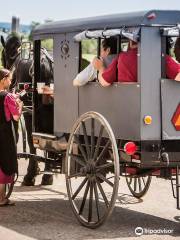 A is for Amish Buggy Rides