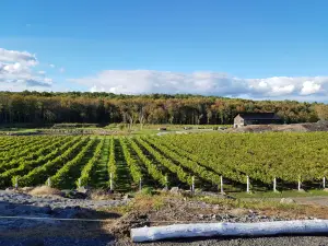 Potter Settlement Vineyards and Artisan Winery