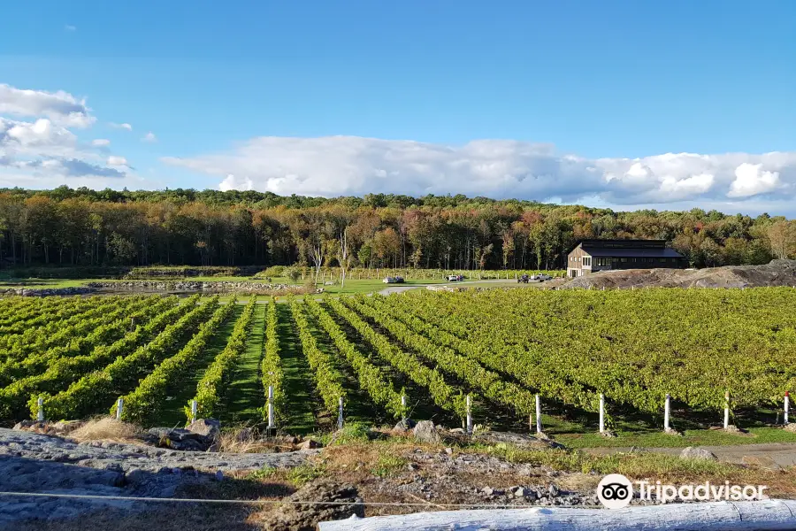 Potter Settlement Vineyards and Artisan Winery