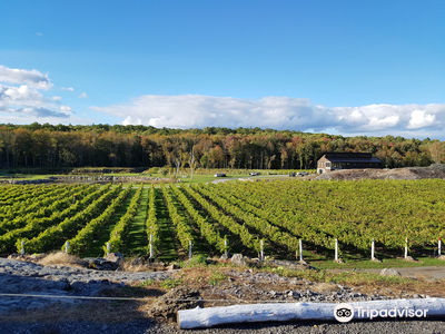Potter Settlement Vineyards and Artisan Winery