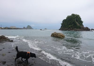 Kamogawa Matsushima