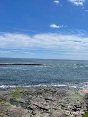 Northumberland Coastal Path