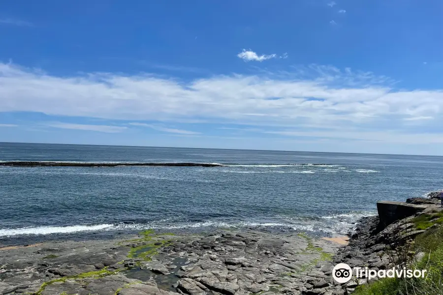 Northumberland Coastal Path