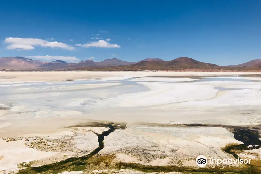 Laguna de Piedras