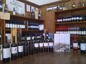 Cantina San Donaci