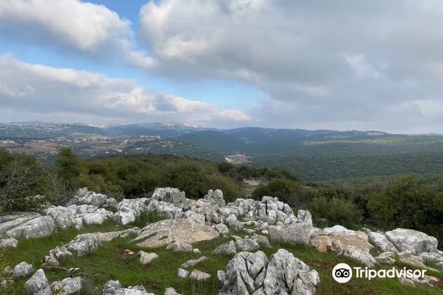 Ajloun Nature Reserve