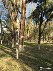 Parque La Costanera