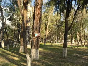 Parque La Costanera