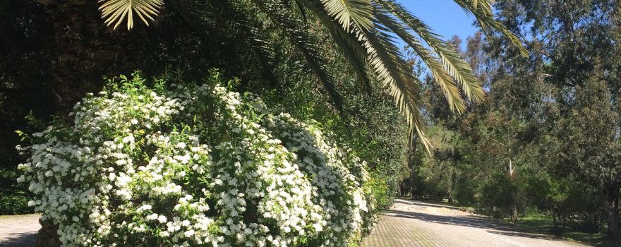 Great Antakya Park