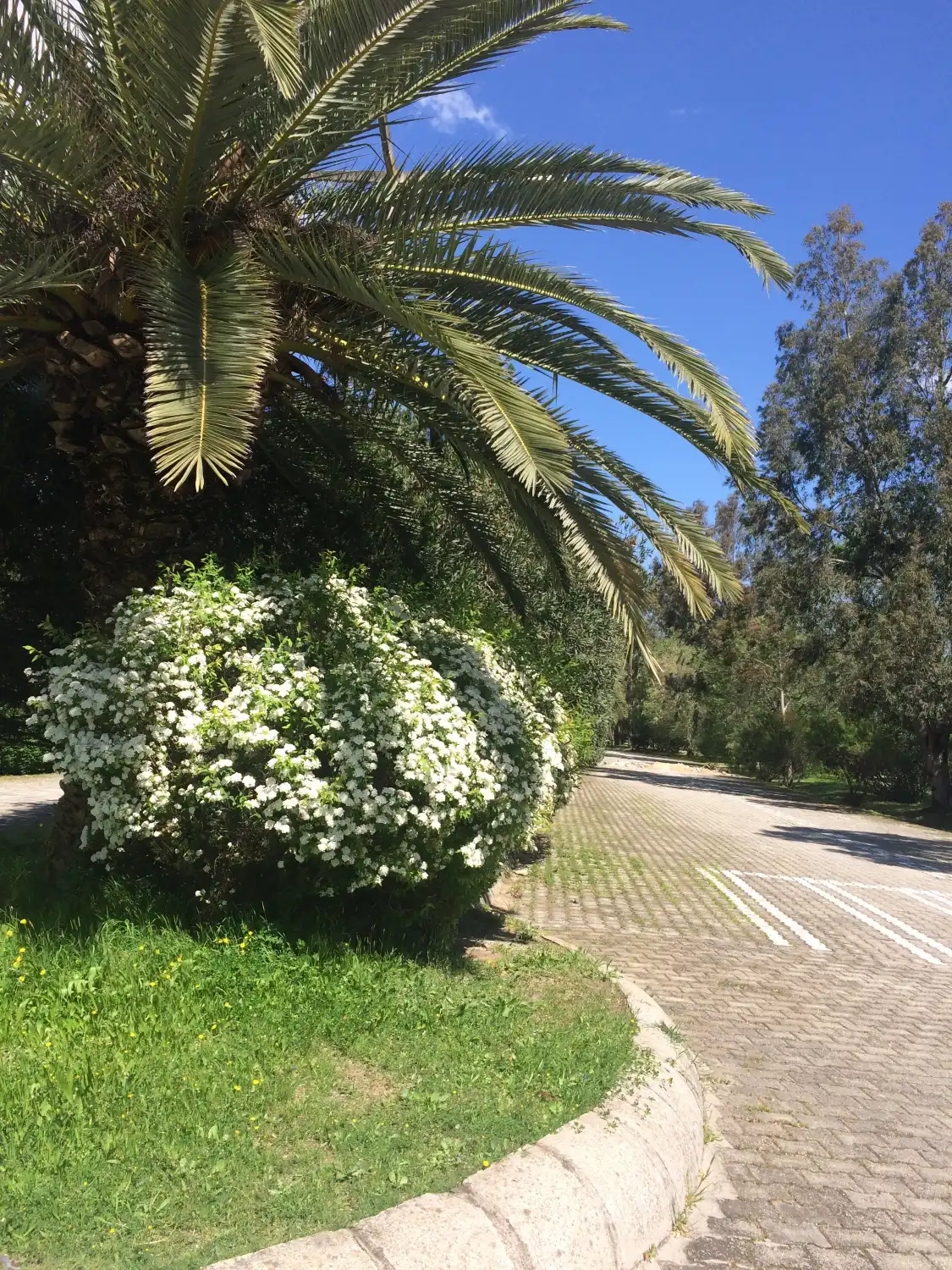 Hotels near Great Antakya Park