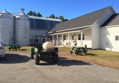Asgaard Farm & Dairy