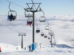 Turoa