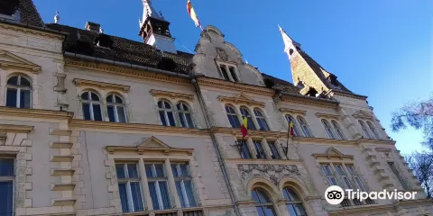 The History Museum
