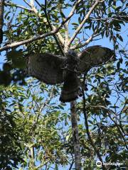 Corbett Jeep Safari