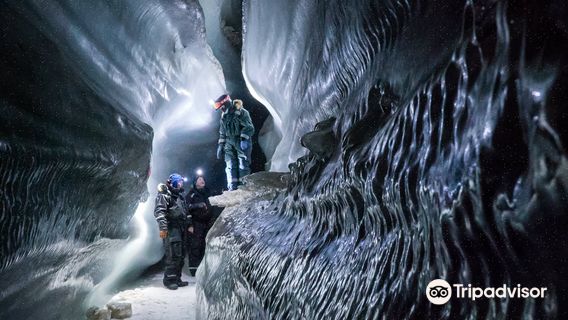 Discover Svalbard AS