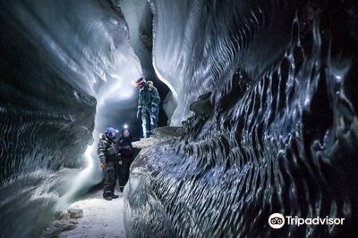 Discover Svalbard AS