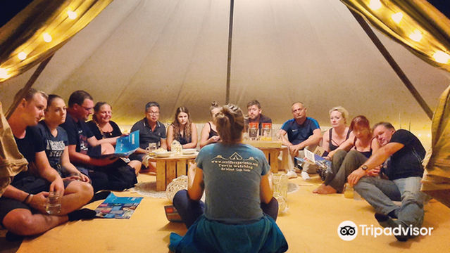 Sealife Experience Turtle Watching