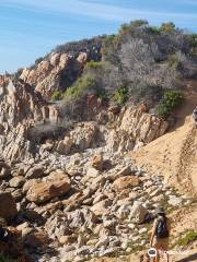 Oystercatcher Trail