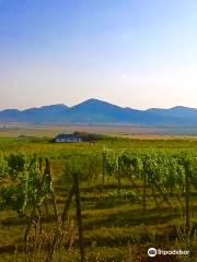 Tokaj Wine Region