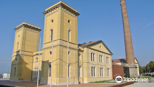 Central Hydrodynamics of the Old Port of Trieste