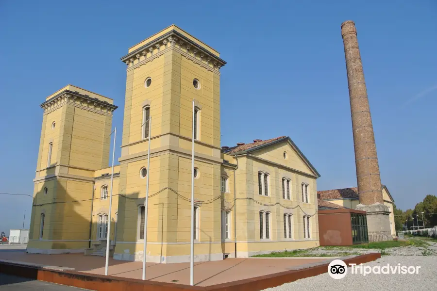 Central Hydrodynamics of the Old Port of Trieste