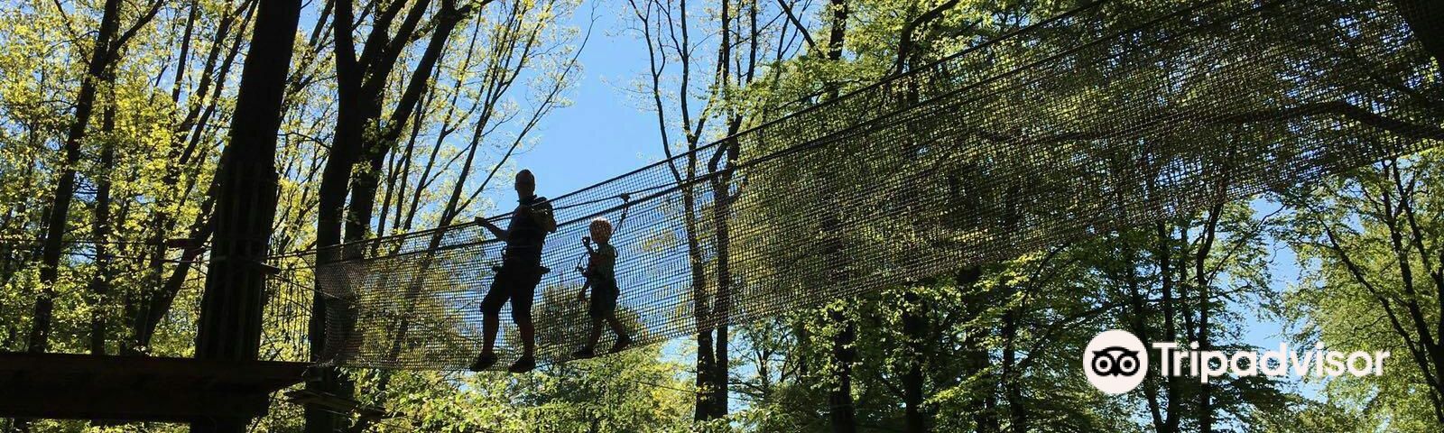 VelbertTravel services