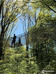 Waldkletterpark Velbert-Langenberg