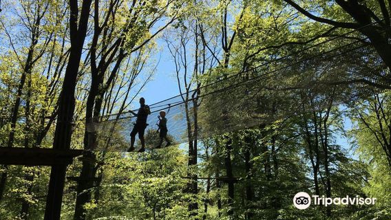 Waldkletterpark Velbert-Langenberg