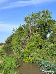 Abner Jackson Plantation Site