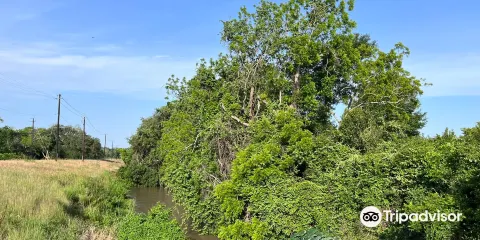 Abner Jackson Plantation Site
