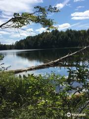 Flambeau River State Forest