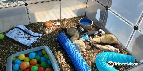 Secret World Wildlife Rescue