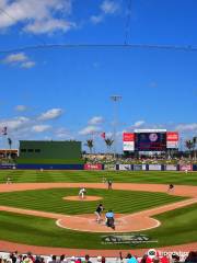 The Ballpark of the Palm Beaches