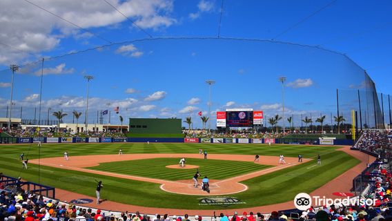 CACTI Park of the Palm Beaches