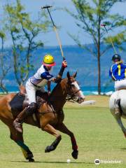 Hawaii Polo Club