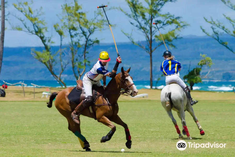 Hawaii Polo Club