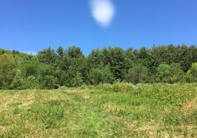 Mountain Meadow Preserve