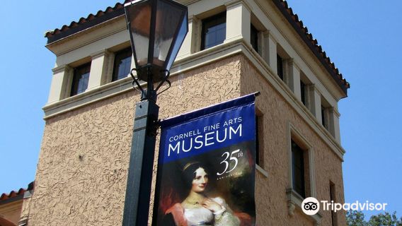 Rollins Museum of Art