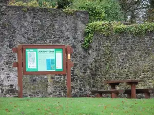 Jenkinstown Wood Walled Garden Loop