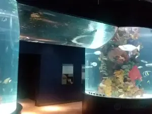 Electric City Aquarium & Reptile Den