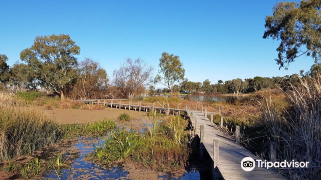 Swanport Wetlands