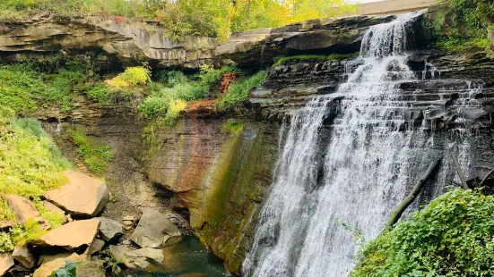 Brandywine Falls