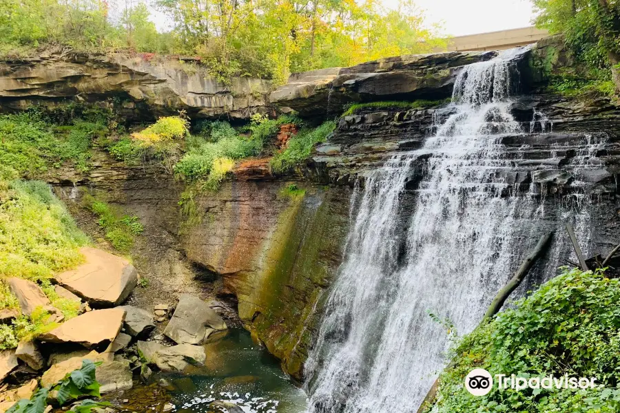 Brandywine Falls