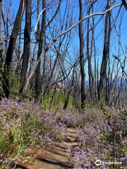 Genoa Peak Walk