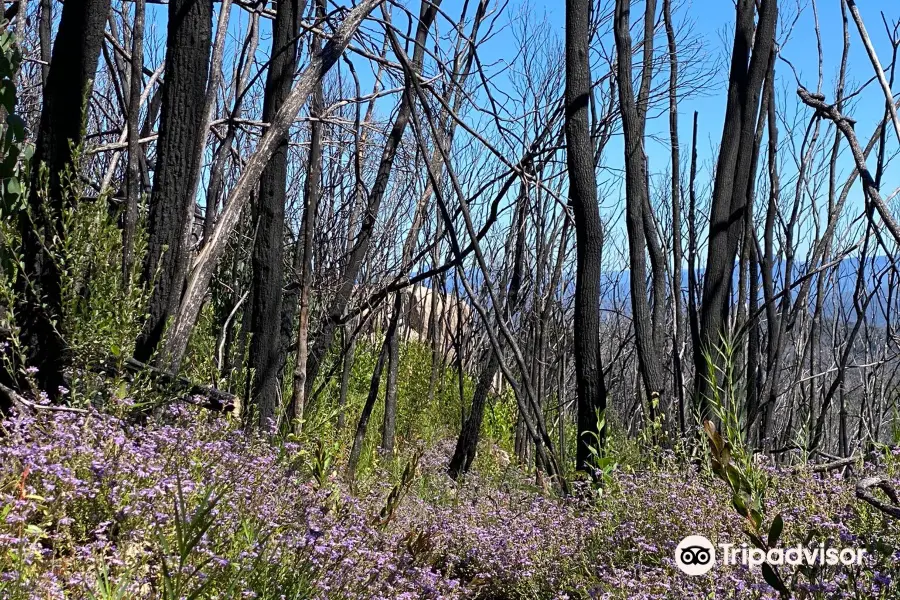 Genoa Peak Walk