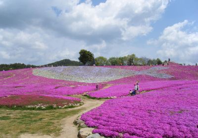 花夢の里ロクタン