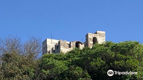 Tower of King Federico (Bell Tower of the Mother Church)