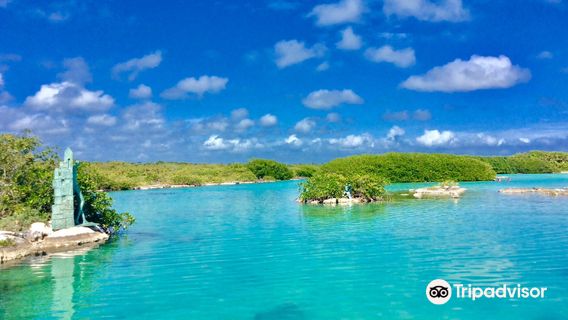 YAL-KU CENOTE Y Laguna Yalku